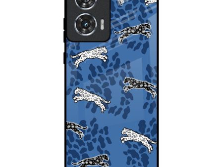 Blue Cheetah Glass Case for Motorola Edge 50 Fusion 5G Online Sale