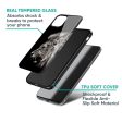 Brave Lion Glass Case for Samsung Galaxy F34 5G For Discount