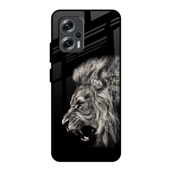 Brave Lion Glass Case for Redmi K50i 5G Sale