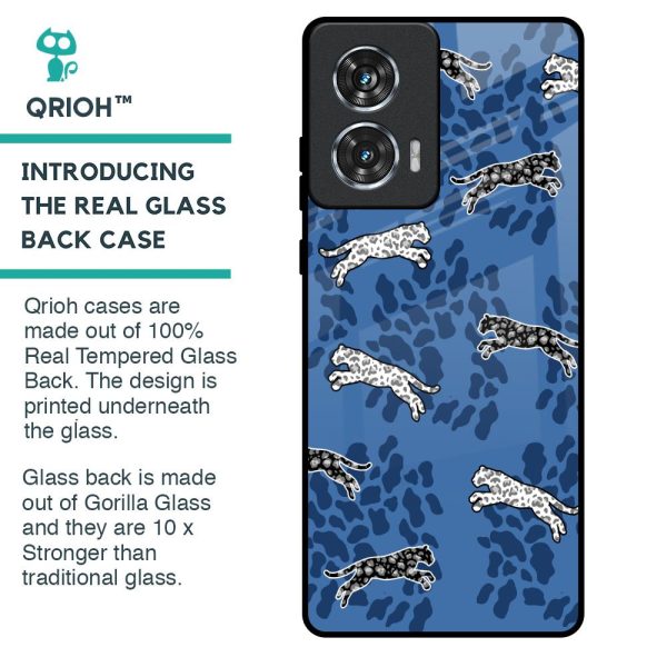 Blue Cheetah Glass Case for Motorola Edge 50 Fusion 5G Online Sale