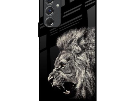 Brave Lion Glass Case for Samsung Galaxy F34 5G For Discount